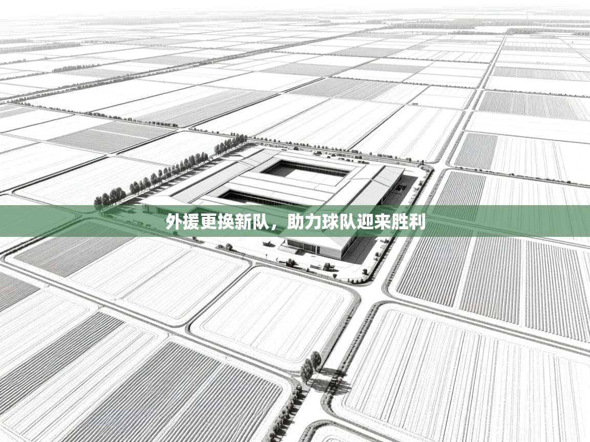 外援更换新队，助力球队迎来胜利  第1张