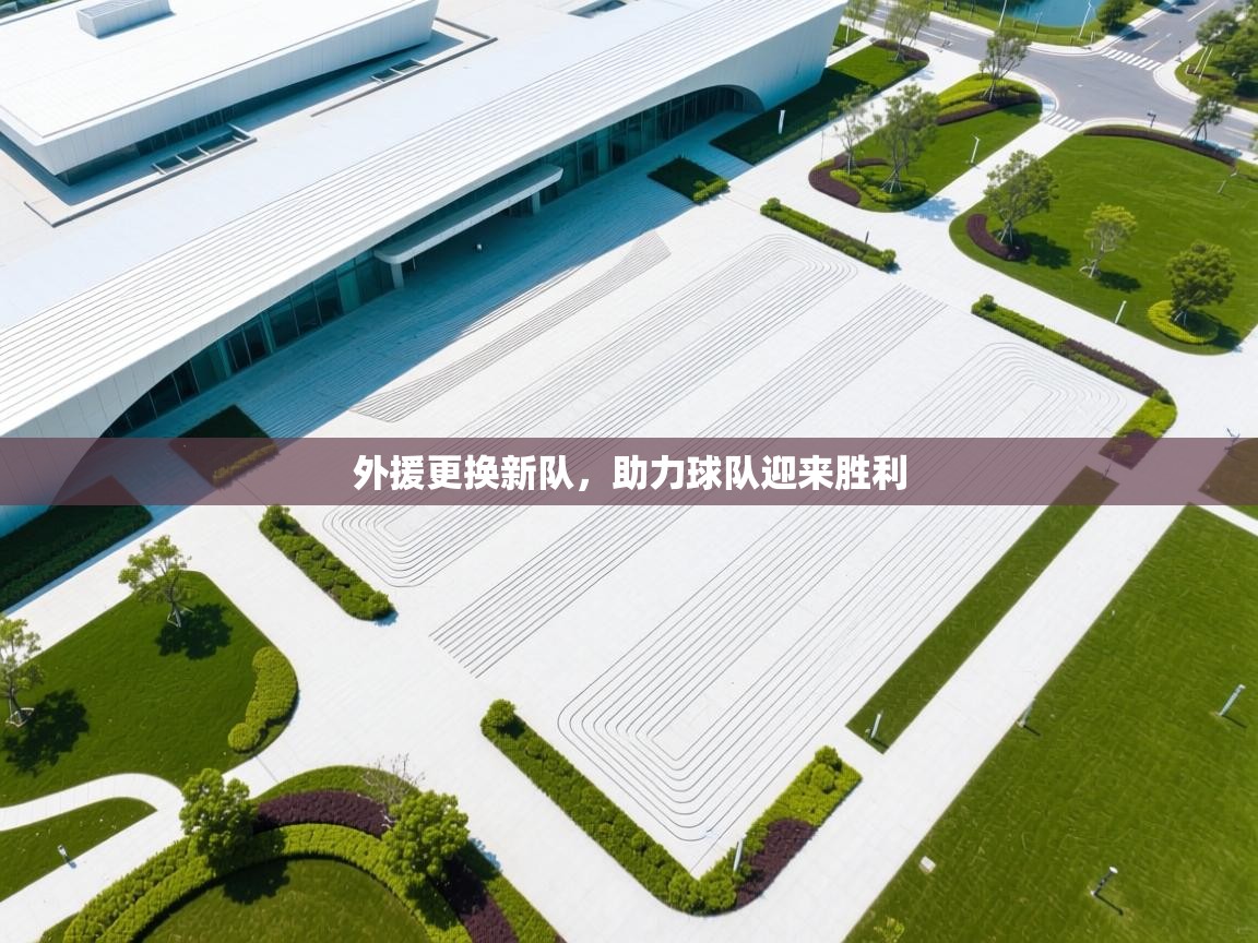 外援更换新队，助力球队迎来胜利  第2张