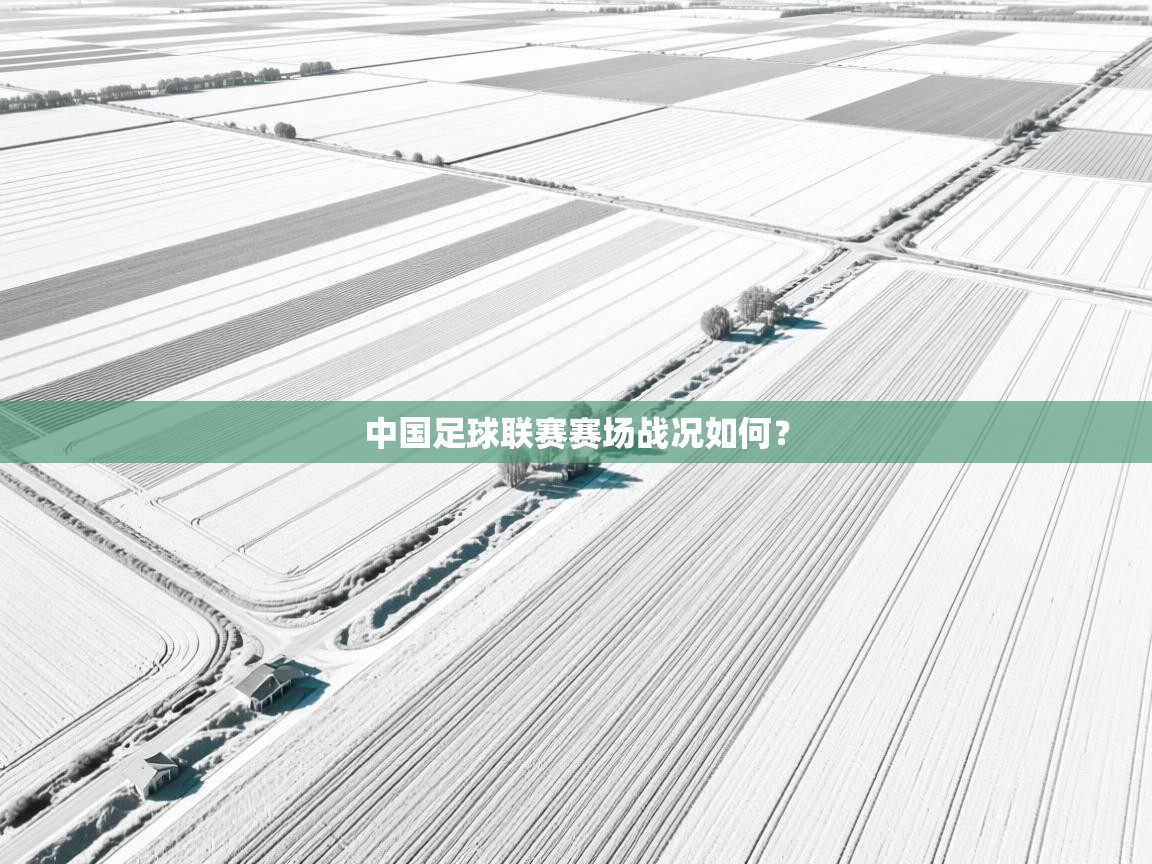 中国足球联赛赛场战况如何？