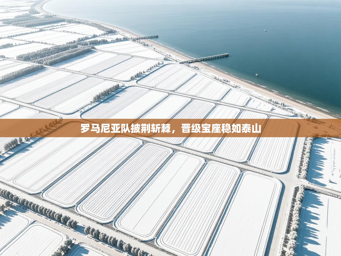 罗马尼亚队披荆斩棘,晋级宝座稳如泰山 第1张