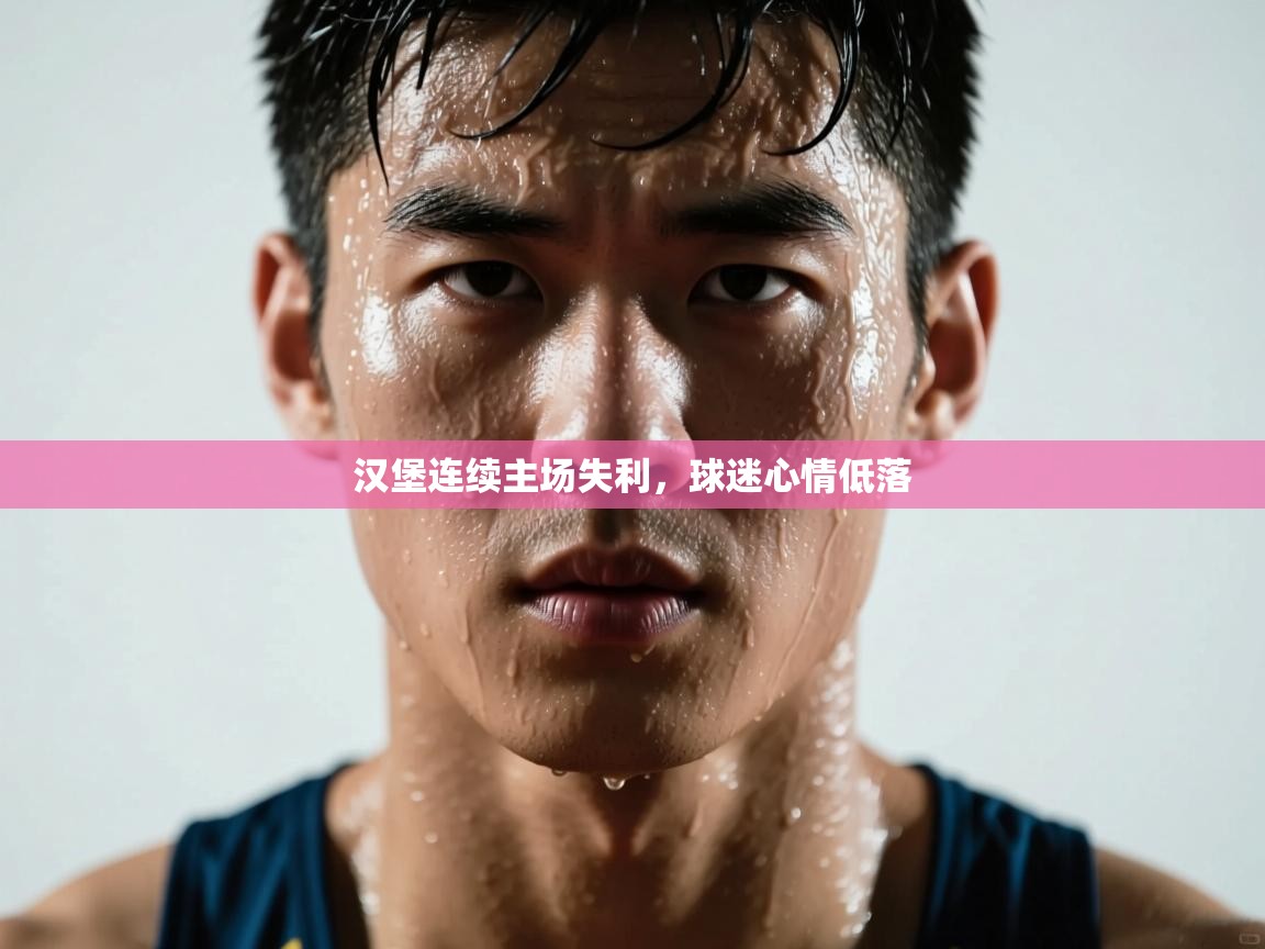 汉堡连续主场失利，球迷心情低落  第2张