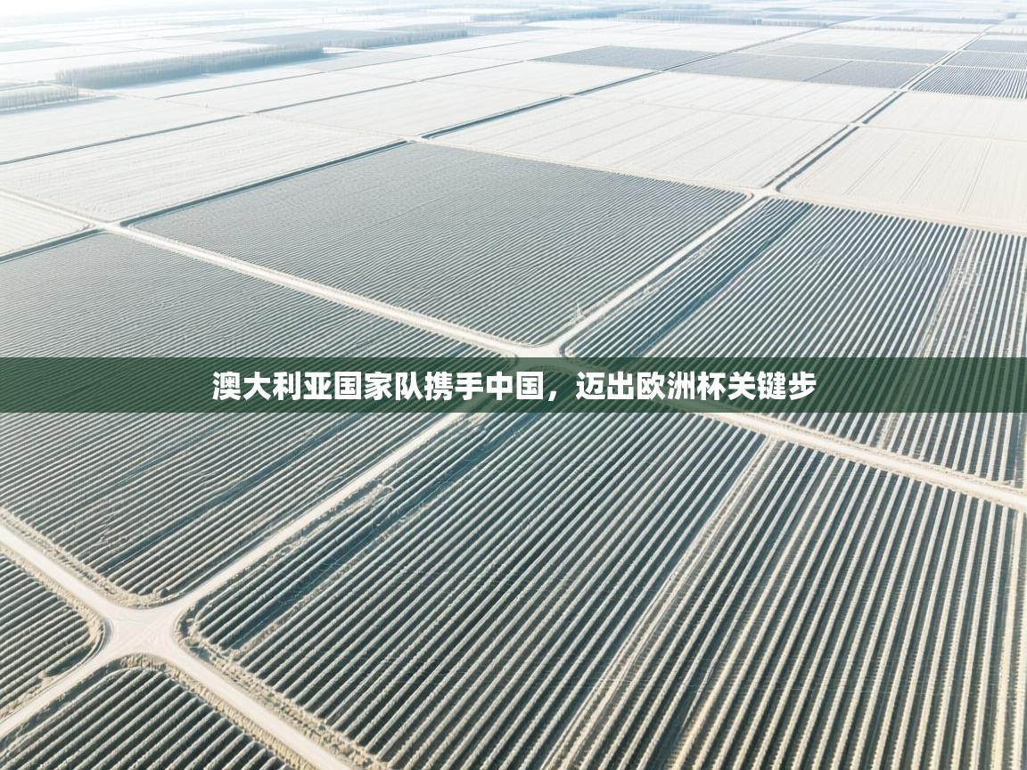 澳大利亚国家队携手中国，迈出欧洲杯关键步  第2张