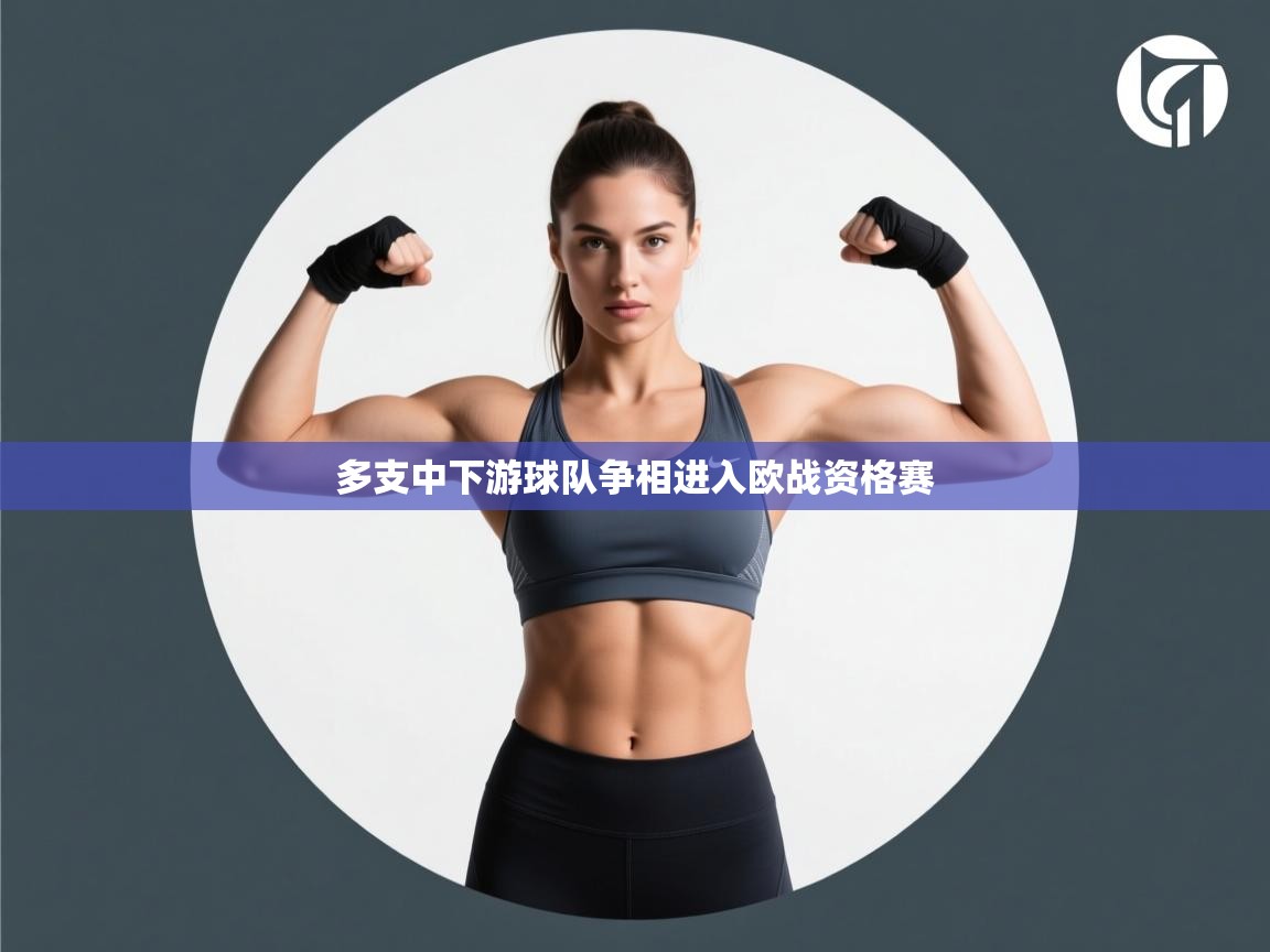 多支中下游球队争相进入欧战资格赛