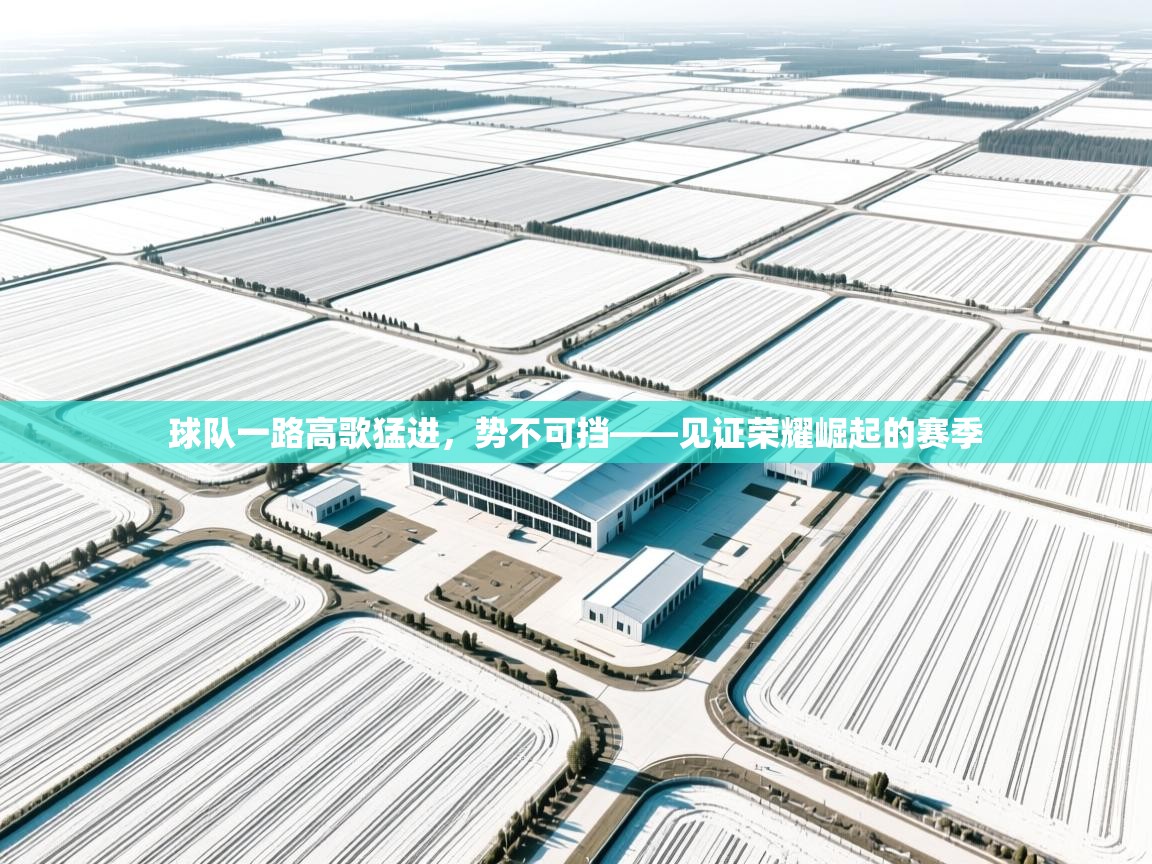 球队一路高歌猛进，势不可挡——见证荣耀崛起的赛季  第2张