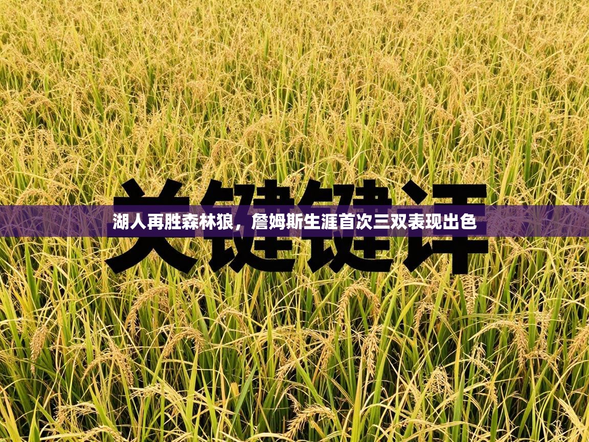 湖人再胜森林狼，詹姆斯生涯首次三双表现出色